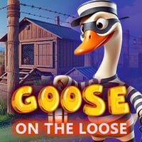 Goose On The Loose