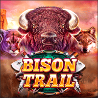 Bison Trail